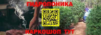 гидра Уссурийск