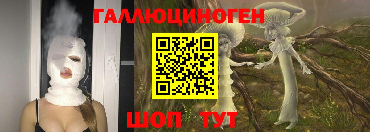 Менделеевск  даркнет сайт  Вход с VPN  Галлюциногенные грибы мицелий  Псилоцибиновые грибы прущие грибы 